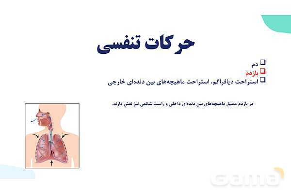 پاورپوینت گفتار 2 فصل 3 زیست دهم: تهویه ششی- پیش نمایش