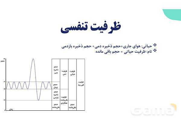 پاورپوینت گفتار 2 فصل 3 زیست دهم: تهویه ششی- پیش نمایش