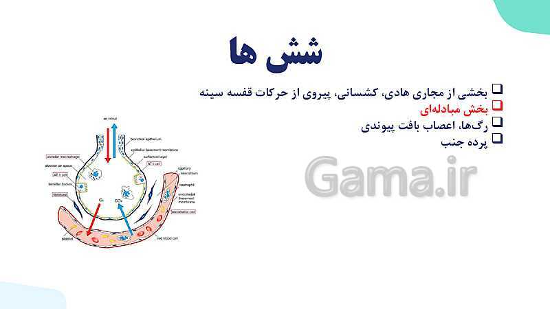 پاورپوینت گفتار 2 فصل 3 زیست دهم: تهویه ششی- پیش نمایش