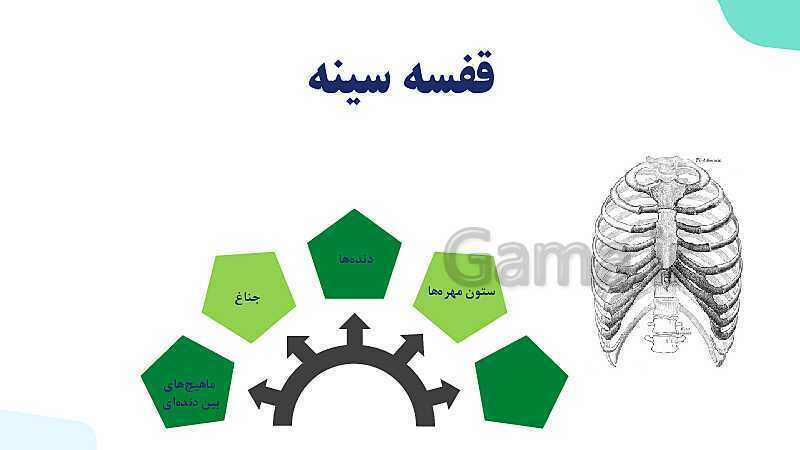 پاورپوینت گفتار 2 فصل 3 زیست دهم: تهویه ششی- پیش نمایش