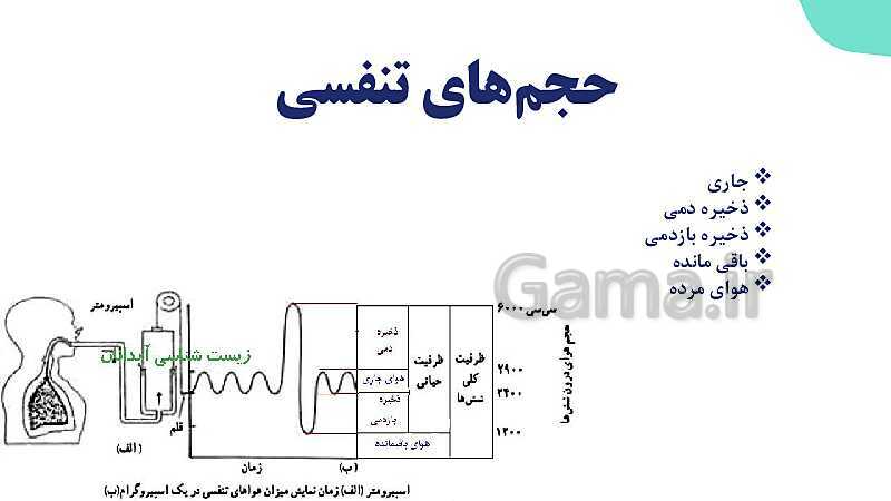 پاورپوینت گفتار 2 فصل 3 زیست دهم: تهویه ششی- پیش نمایش