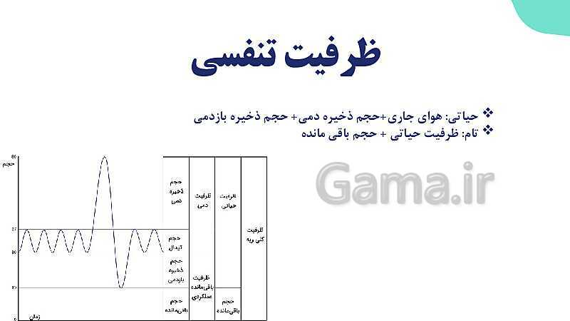 پاورپوینت گفتار 2 فصل 3 زیست دهم: تهویه ششی- پیش نمایش