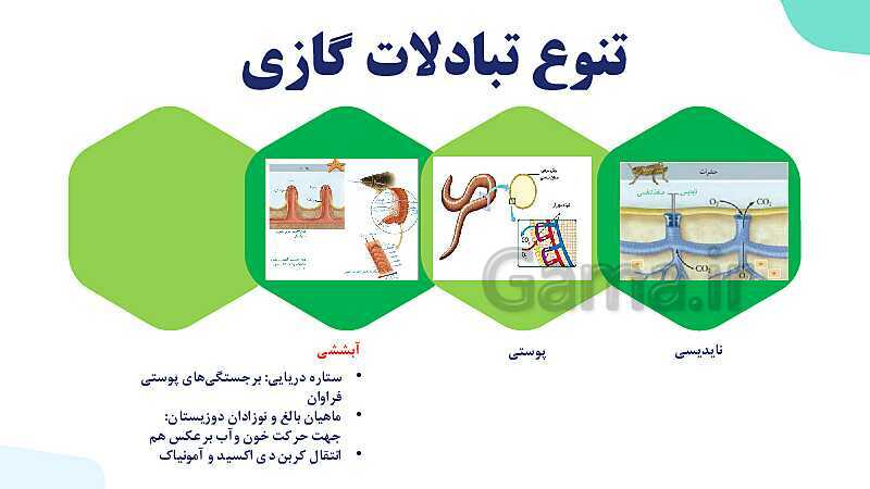 پاورپوینت گفتار 3 فصل 3 زیست دهم: تنوع تبادلات گازی- پیش نمایش