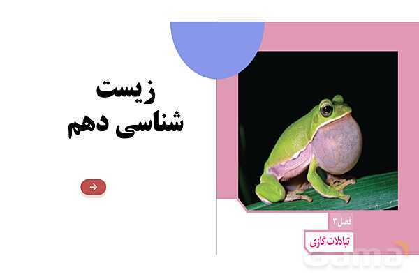 پاورپوینت گفتار 3 فصل 3 زیست دهم: تنوع تبادلات گازی- پیش نمایش