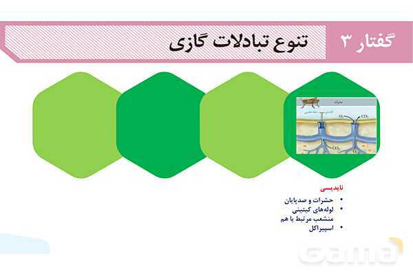 پاورپوینت گفتار 3 فصل 3 زیست دهم: تنوع تبادلات گازی- پیش نمایش