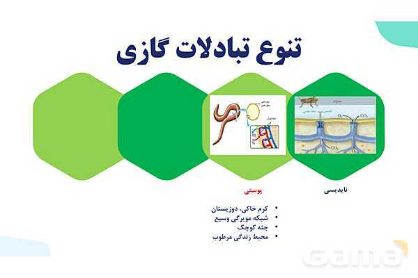 پاورپوینت گفتار 3 فصل 3 زیست دهم: تنوع تبادلات گازی- پیش نمایش