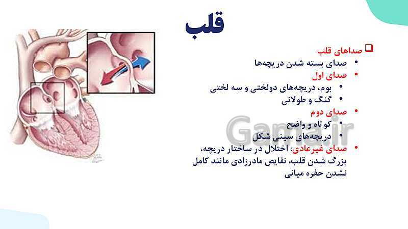 پاورپوینت گفتار 1 فصل 4 زیست دهم: قلب- پیش نمایش