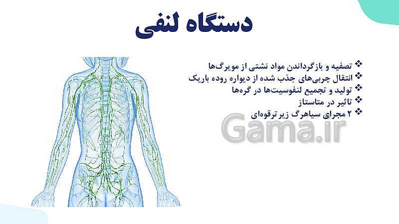 پاورپوینت گفتار 2 فصل 4 زیست دهم: رگ ها- پیش نمایش