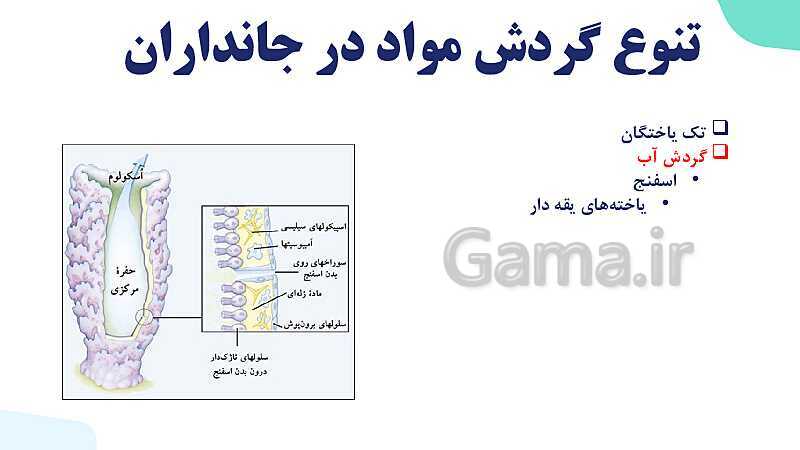 پاورپوینت گفتار 4 فصل 4 زیست دهم: تنوع گردش مواد در جانداران- پیش نمایش