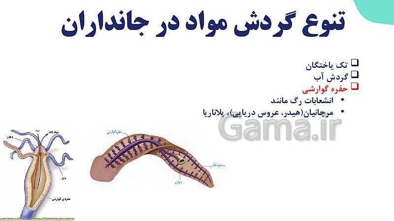 پاورپوینت گفتار 4 فصل 4 زیست دهم: تنوع گردش مواد در جانداران- پیش نمایش