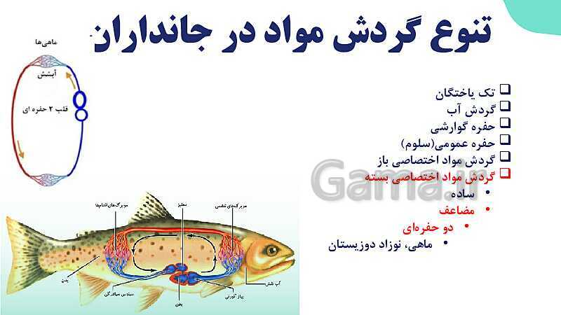 پاورپوینت گفتار 4 فصل 4 زیست دهم: تنوع گردش مواد در جانداران- پیش نمایش