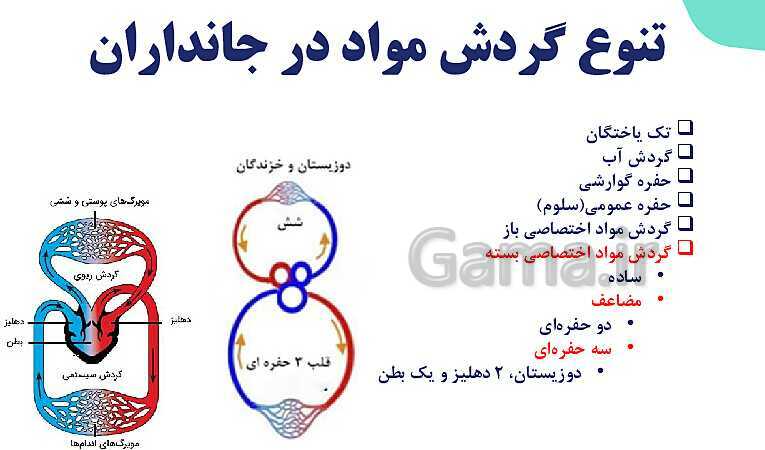 پاورپوینت گفتار 4 فصل 4 زیست دهم: تنوع گردش مواد در جانداران- پیش نمایش