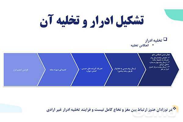 پاورپوینت گفتار 2 فصل 5 زیست دهم: تشکیل ادرار و تخلیه آن- پیش نمایش