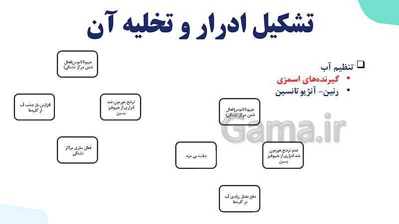 پاورپوینت گفتار 2 فصل 5 زیست دهم: تشکیل ادرار و تخلیه آن- پیش نمایش