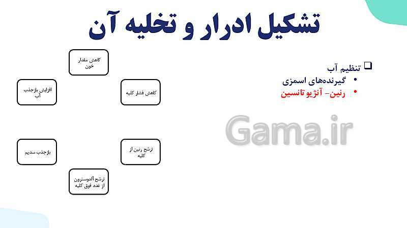 پاورپوینت گفتار 2 فصل 5 زیست دهم: تشکیل ادرار و تخلیه آن- پیش نمایش