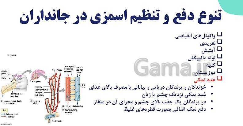 پاورپوینت گفتار 3 فصل 5 زیست دهم: تنوع دفع و تنظیم اسمزی در جانداران- پیش نمایش