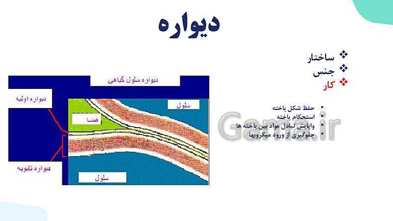 پاورپوینت گفتار 1 فصل 6 زیست دهم: ویژگی های یاخته گیاهی- پیش نمایش