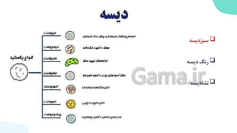 پاورپوینت گفتار 1 فصل 6 زیست دهم: ویژگی های یاخته گیاهی- پیش نمایش