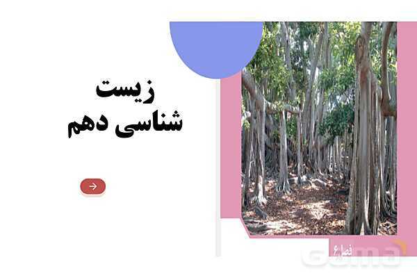 پاورپوینت گفتار 2 فصل 6 زیست دهم: سامانه بافتی- پیش نمایش