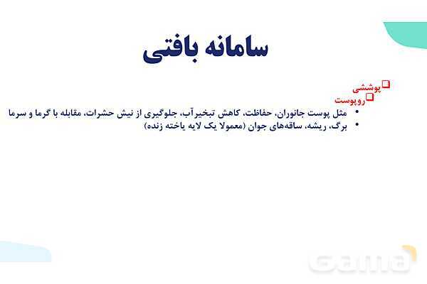 پاورپوینت گفتار 2 فصل 6 زیست دهم: سامانه بافتی- پیش نمایش