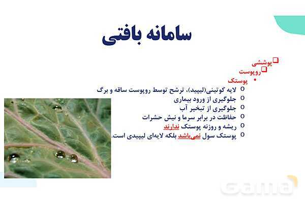 پاورپوینت گفتار 2 فصل 6 زیست دهم: سامانه بافتی- پیش نمایش