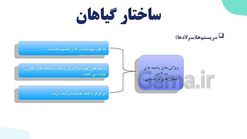 پاورپوینت گفتار 3 فصل 6 زیست دهم: ساختار گیاهان- پیش نمایش