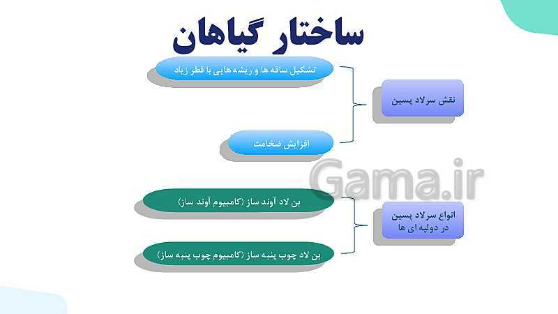 پاورپوینت گفتار 3 فصل 6 زیست دهم: ساختار گیاهان- پیش نمایش