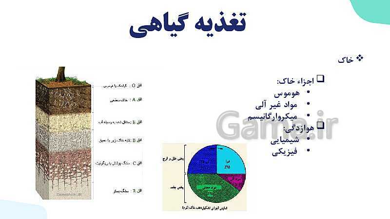 پاورپوینت گفتار 1 فصل 7 زیست دهم: تغذیه گیاهی- پیش نمایش