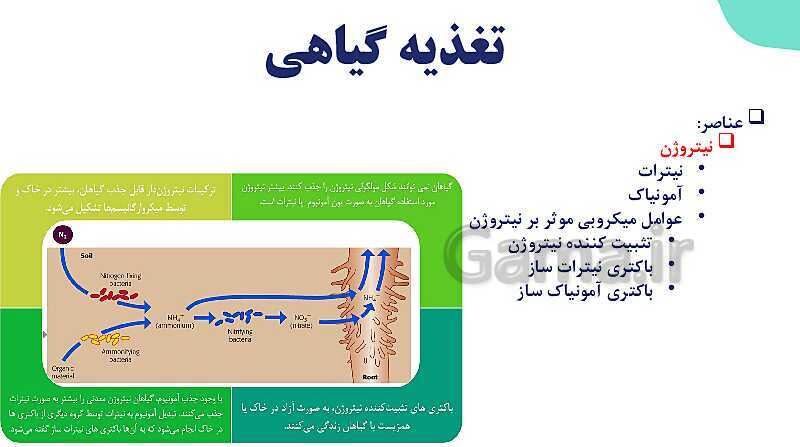 پاورپوینت گفتار 1 فصل 7 زیست دهم: تغذیه گیاهی- پیش نمایش