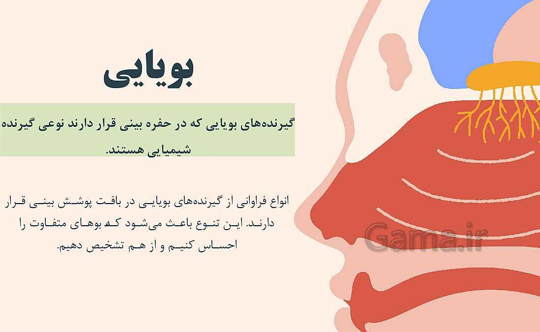 پاورپوینت آموزشی فصل 5: حس و حرکت | علوم هشتم- پیش نمایش