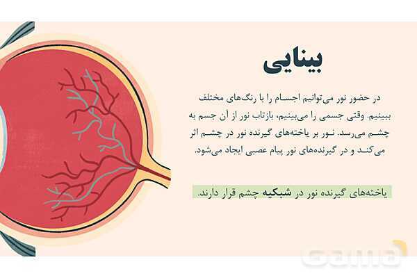 پاورپوینت آموزشی فصل 5: حس و حرکت | علوم هشتم- پیش نمایش
