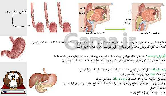 پاورپوینت جمع بندی شیمی و زیست هفتم- پیش نمایش