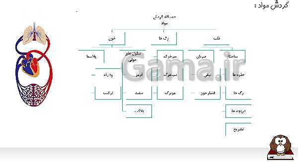 پاورپوینت جمع بندی شیمی و زیست هفتم- پیش نمایش