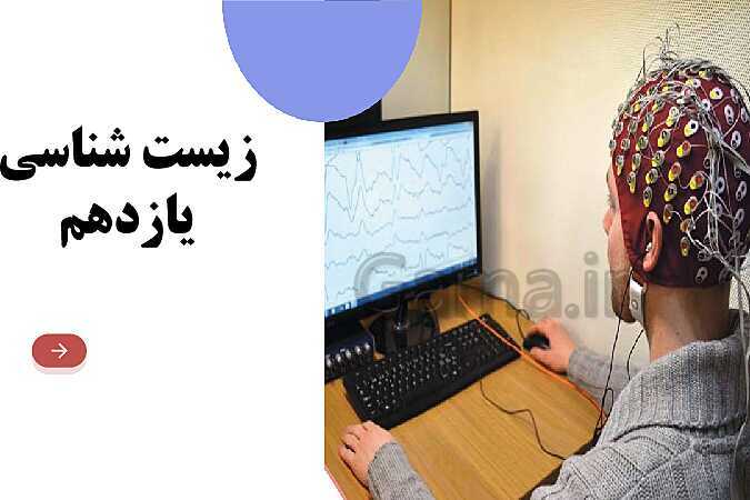 آموزش گفتار 1 فصل اول: یاخته‌های بافت عصبی | زیست شناسی یازدهم - پیش نمایش