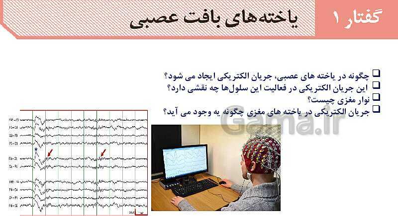 آموزش گفتار 1 فصل اول: یاخته‌های بافت عصبی | زیست شناسی یازدهم - پیش نمایش