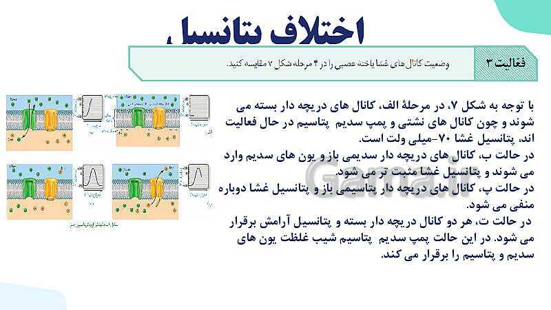 آموزش گفتار 1 فصل اول: یاخته‌های بافت عصبی | زیست شناسی یازدهم - پیش نمایش