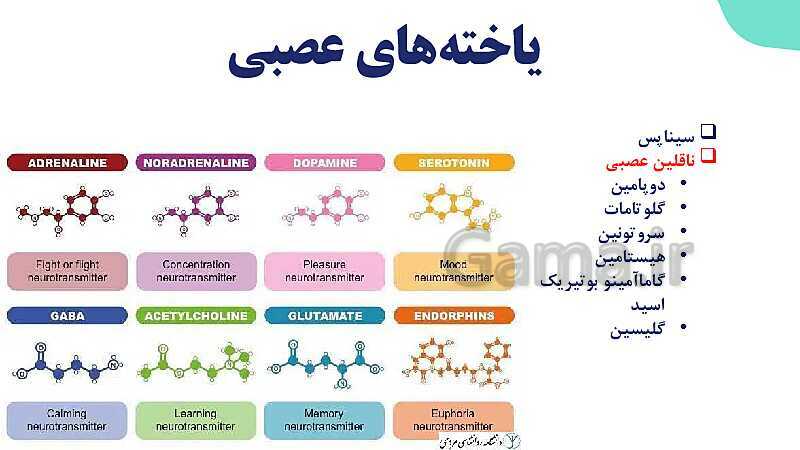 آموزش گفتار 1 فصل اول: یاخته‌های بافت عصبی | زیست شناسی یازدهم - پیش نمایش