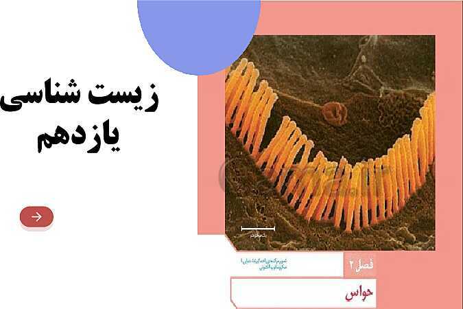 آموزش گفتار 1 فصل دوم: گیرنده‌های حسی | زیست شناسی یازدهم - پیش نمایش