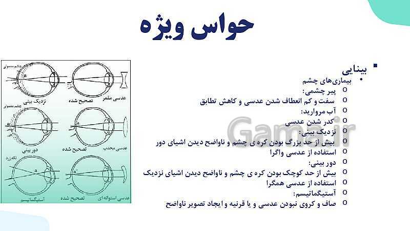 آموزش گفتار 2 فصل دوم: حواس ویژه | زیست شناسی یازدهم - پیش نمایش