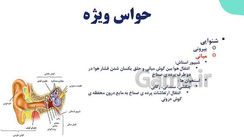 آموزش گفتار 2 فصل دوم: حواس ویژه | زیست شناسی یازدهم - پیش نمایش