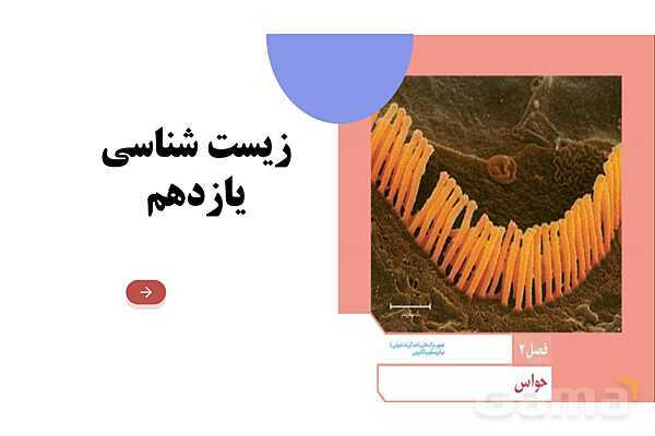 آموزش گفتار 2 فصل دوم: حواس ویژه | زیست شناسی یازدهم - پیش نمایش