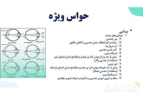 آموزش گفتار 2 فصل دوم: حواس ویژه | زیست شناسی یازدهم - پیش نمایش