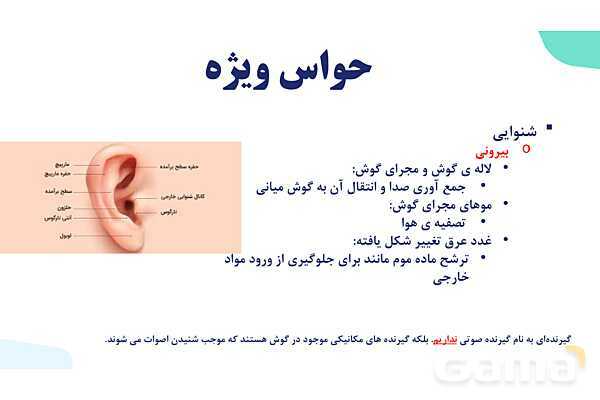 آموزش گفتار 2 فصل دوم: حواس ویژه | زیست شناسی یازدهم - پیش نمایش