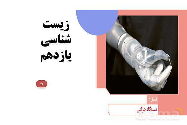 آموزش گفتار 2 فصل سوم: ماهیچه و حرکت | زیست شناسی یازدهم - پیش نمایش
