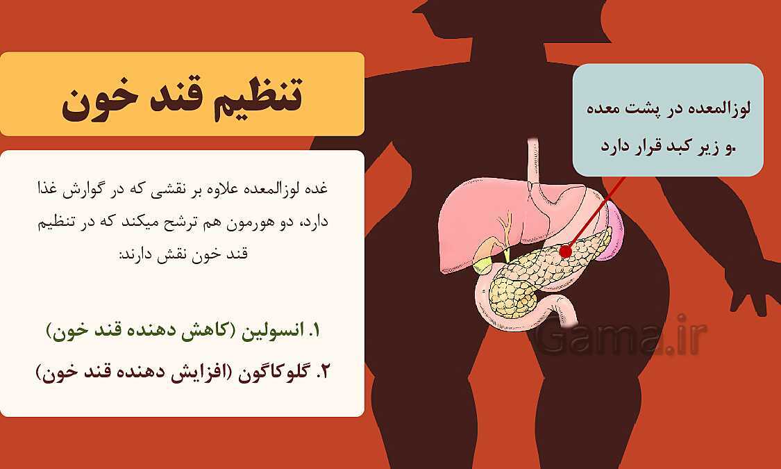 پاورپوینت آموزشی فصل 6: تنظیم هورمونی | علوم هشتم- پیش نمایش