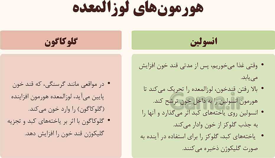 پاورپوینت آموزشی فصل 6: تنظیم هورمونی | علوم هشتم- پیش نمایش