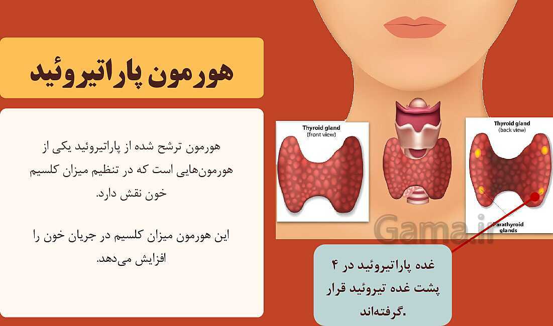 پاورپوینت آموزشی فصل 6: تنظیم هورمونی | علوم هشتم- پیش نمایش