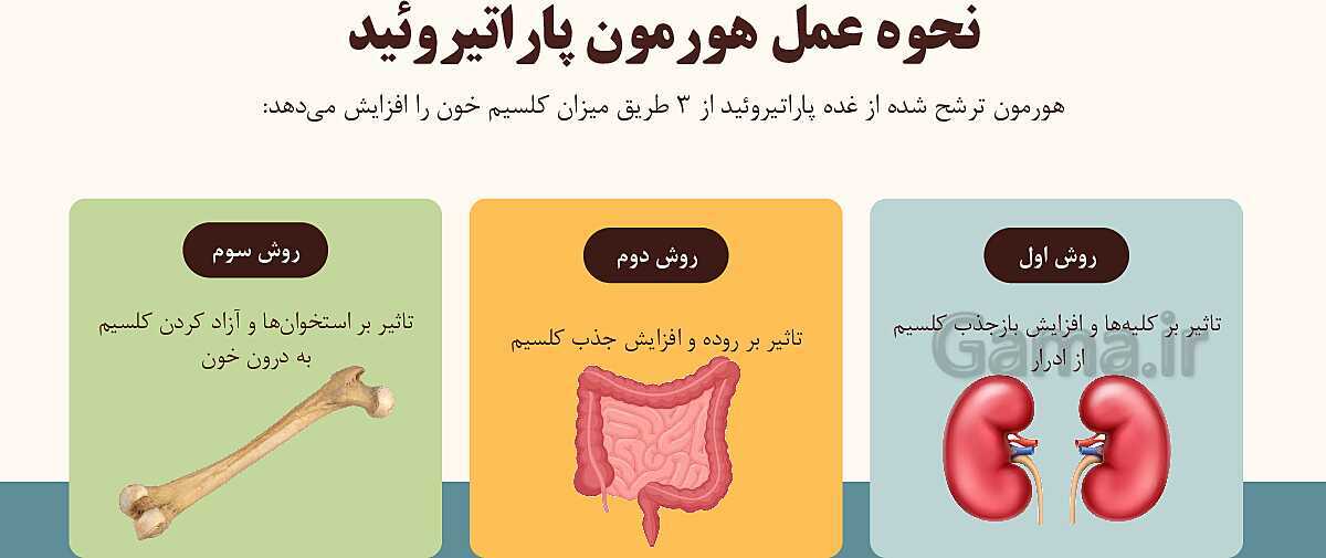 پاورپوینت آموزشی فصل 6: تنظیم هورمونی | علوم هشتم- پیش نمایش