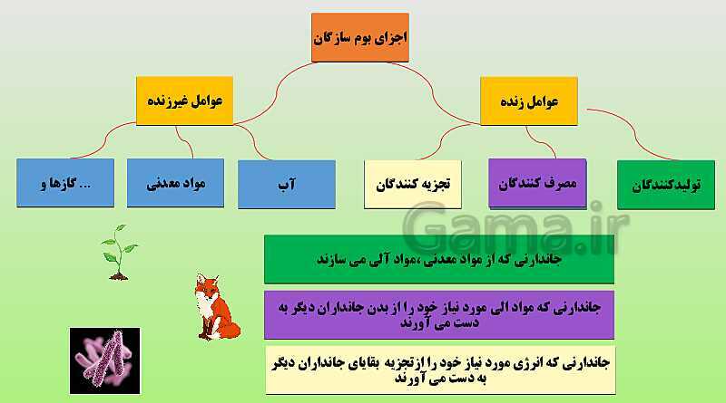 پاورپوینت تدریس مفهومی علوم تجربی نهم | فصل 15: با هم زیستن- پیش نمایش