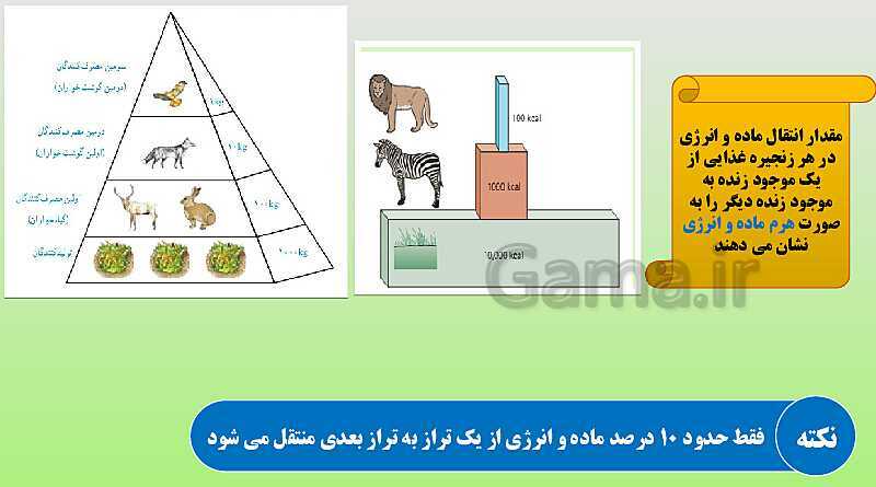 پاورپوینت تدریس مفهومی علوم تجربی نهم | فصل 15: با هم زیستن- پیش نمایش